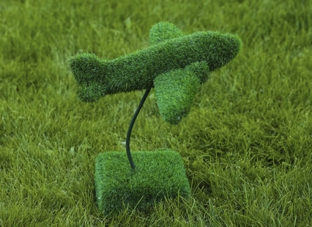 Топиари Самолет - газон Eco, фото 2