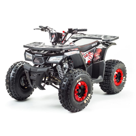 Квадроцикл MOTOLAND Wild 150, фото 1