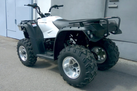 Квадроцикл LINHAI-YAMAHA M150, фото 8