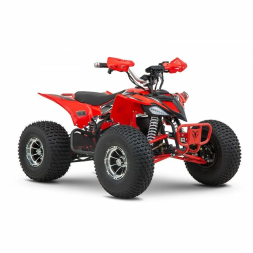 Квадроцикл YACOTA E-Sport 3000W LD, фото 2 Квадроцикл YACOTA E-Sport 3000W LD, фото 2