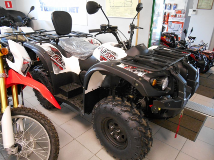 STRIKER 700 EFI, фото 8