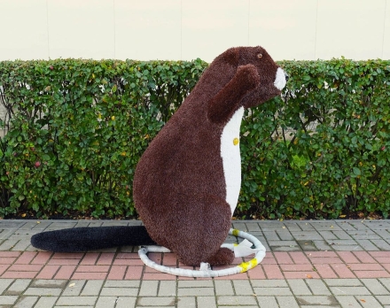 Топиари бобер Рич - газон Eco, фото 2