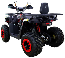 Квадроцикл AVANTIS Hunter 200 New Premium (2020), фото 5