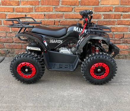 Квадроцикл MOWGLI Mini Hardy 4T, фото 5