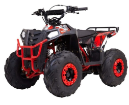 Квадроцикл RAPTOR Dux 8, фото 1