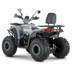 Квадроцикл YACOTA VIKING 200, фото 2 Квадроцикл YACOTA VIKING 200, фото 2