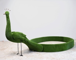 Топиари Павлин клумба - газон Eco, фото 1