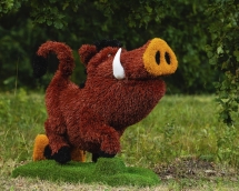 Топиари кабан Валери - газон Eco Топиари кабан Валери - газон Eco