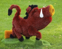 Топиари кабан Валери - газон Eco Топиари кабан Валери - газон Eco