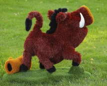 Топиари кабан Валери - газон Eco Топиари кабан Валери - газон Eco