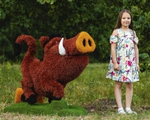 Топиари кабан Валери - газон Eco Топиари кабан Валери - газон Eco