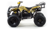 Квадроцикл MOTOLAND 150 Maverick