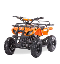 Квадроцикл MOTAX ATV Mini Grizlik X-16 (э/с) Big Wheel