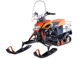 Снегоход IRBIS Dingo T200, фото 1