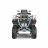 Квадроцикл STELS ATV 800 GUEPARD FF Trophy EPS Cargo 2.0