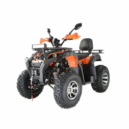 Квадроцикл YACOTA SELA 200 MAX, фото 1 Квадроцикл YACOTA SELA 200 MAX, фото 1