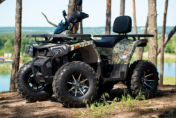 Квадроцикл YAMAHA Shark 300cc, фото 9 Квадроцикл YAMAHA Shark 300cc, фото 9