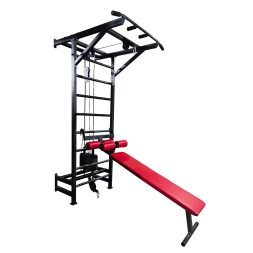 Шведская стенка со скамьей для жима и пресса