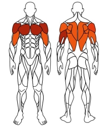 Тяга верхняя + жим от груди (серый) - Уличный тренажер двойной - СТ 027-13.И1, фото 6 Тяга верхняя + жим от груди (серый) - Уличный тренажер двойной - СТ 027-13.И1, фото 6