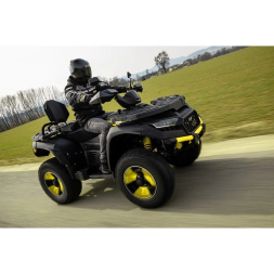 Квадроцикл TGB Blade 600 LTX EPS Premium, фото 4