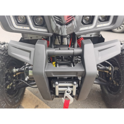 Квадроцикл Motax ATV Grizlik T 200, фото 13 Квадроцикл Motax ATV Grizlik T 200, фото 13