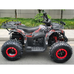 Квадроцикл Motax ATV Grizlik T 200, фото 10 Квадроцикл Motax ATV Grizlik T 200, фото 10