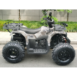 Квадроцикл Motax ATV Grizlik T 200, фото 5 Квадроцикл Motax ATV Grizlik T 200, фото 5