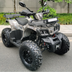 Квадроцикл Motax ATV Grizlik T 200, фото 4 Квадроцикл Motax ATV Grizlik T 200, фото 4