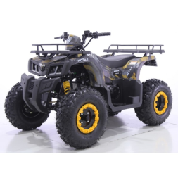 Квадроцикл Motax ATV Grizlik T 200, фото 3 Квадроцикл Motax ATV Grizlik T 200, фото 3