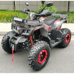 Квадроцикл Motax ATV Grizlik T 200, фото 2 Квадроцикл Motax ATV Grizlik T 200, фото 2