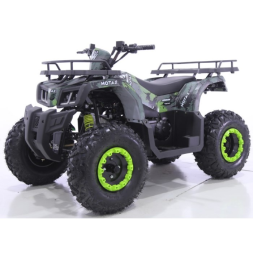 Квадроцикл Motax ATV Grizlik T 200, фото 1 Квадроцикл Motax ATV Grizlik T 200, фото 1