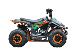 Квадроцикл WELS Tukah 110, фото 5 Квадроцикл WELS Tukah 110, фото 5