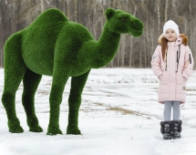 Топиари Верблюд одногорбый - газон Deluxe Топиари Верблюд одногорбый - газон Deluxe