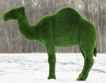 Топиари Верблюд одногорбый - газон Deluxe Топиари Верблюд одногорбый - газон Deluxe