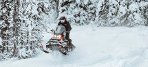 Снегоход BRP Ski-Doo Skandic SWT 900 ACE (2022)