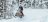 Снегоход BRP Ski-Doo Skandic SWT 900 ACE (2022)