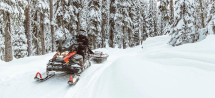 Снегоход BRP Ski-Doo Skandic SWT 900 ACE (2022)