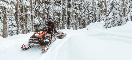 Снегоход BRP Ski-Doo Skandic SWT 900 ACE (2022), фото 4