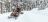Снегоход BRP Ski-Doo Skandic SWT 900 ACE (2022)