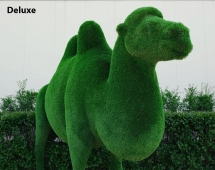 Топиари Верблюд двугорбый - газон Deluxe Топиари Верблюд двугорбый - газон Deluxe