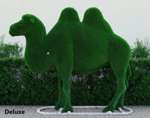 Топиари Верблюд двугорбый - газон Deluxe Топиари Верблюд двугорбый - газон Deluxe