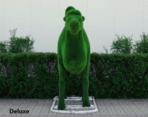 Топиари Верблюд двугорбый - газон Deluxe Топиари Верблюд двугорбый - газон Deluxe