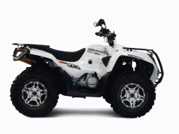 Квадроцикл ADLY Advanced ATV600U 4WD, фото 1