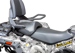 Квадроцикл СТЕЛС ATV 800 (TE) Guepard 2.0 K02 EPS Tech (2025), фото 2