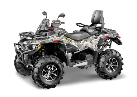 Квадроцикл СТЕЛС ATV 800 (TE) Guepard 2.0 K02 EPS Tech (2025), фото 1