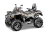 Квадроцикл СТЕЛС ATV 800 (TE) Guepard 2.0 K02 EPS Tech (2025)