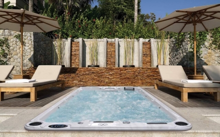 Плавательный спа-бассейн Cal Spas Freestyle F-1420E, фото 2