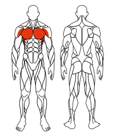 Бабочка (серый) - Уличный тренажер - СТ 028-13.И1, фото 6