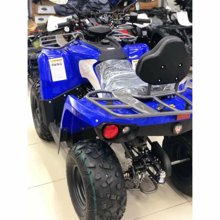 Квадроцикл MOTAX ATV Grizlik 200 Ultra, фото 9