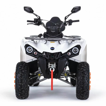 Квадроцикл MOTAX ATV Grizlik 200 Ultra, фото 6